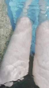 少爷by不游泳的鱼