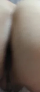 石家庄辛集的骚逼